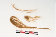 Etikett zu Textil (NHMW-PRAE-126294)